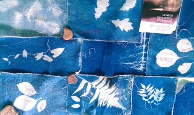 cyanotype
